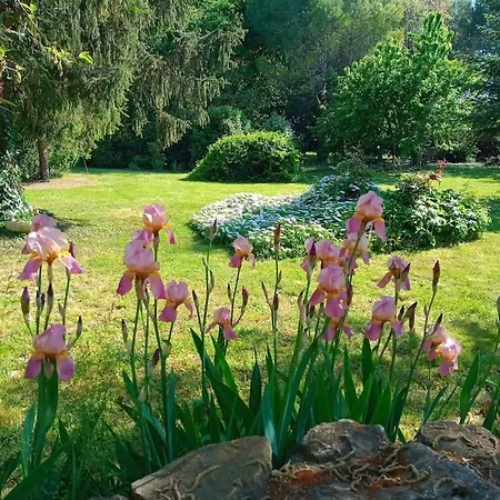 Villa Avec Piscine Dans Un Avre De Verdure Caderousse Exterior foto