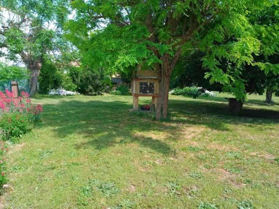 Avec Piscine Dans Un Avre De Verdure Vakantiehuis Caderousse
