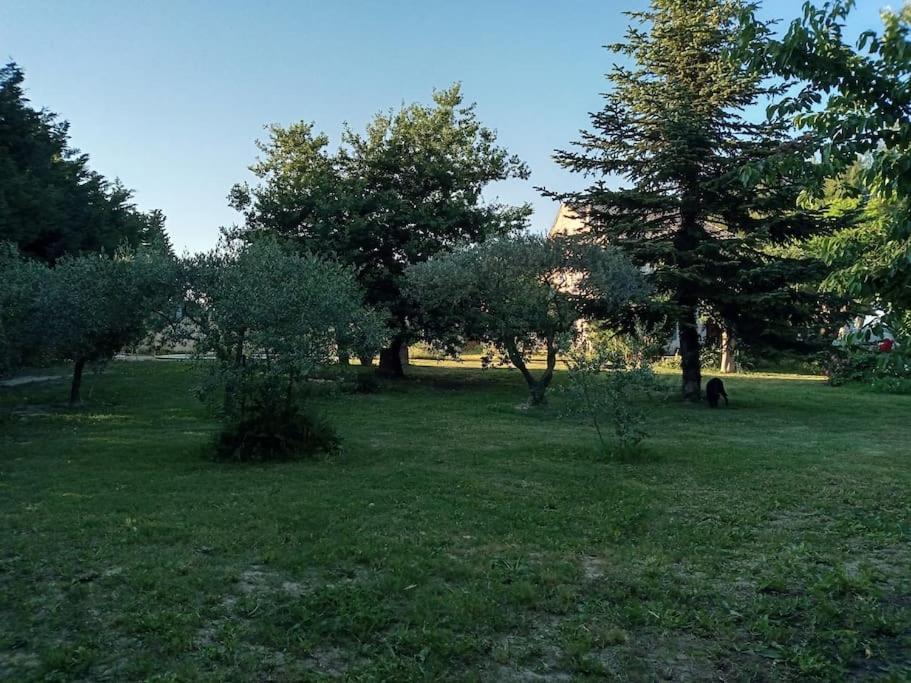 Avec Piscine Dans Un Avre De Verdure Сasa de vacaciones Caderousse