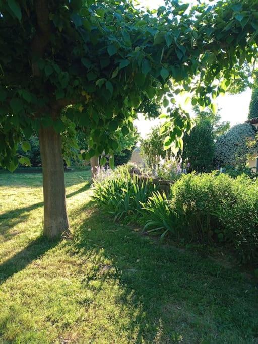 Avec Piscine Dans Un Avre De Verdure Caderousse