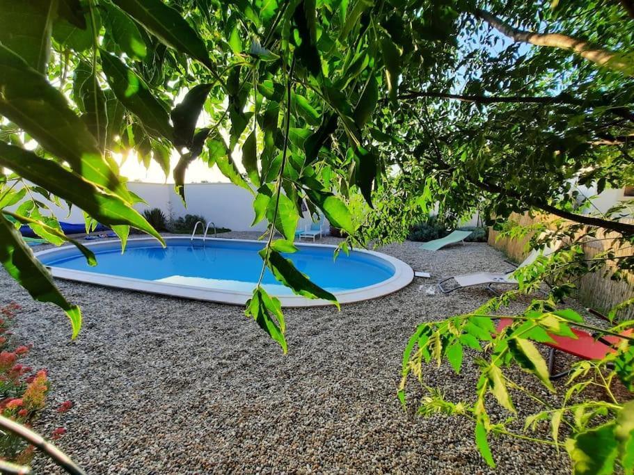 Avec Piscine Dans Un Avre De Verdure Caderousse
